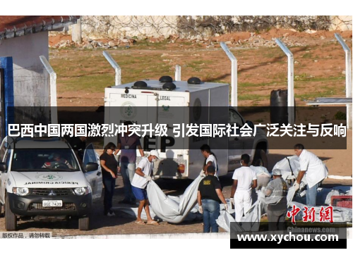巴西中国两国激烈冲突升级 引发国际社会广泛关注与反响